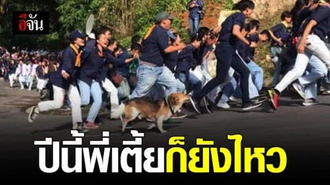 รับน้องขึ้นดอย 62 พี่เตี้ย หมาขาสั้นแห่ง มช. ปีนี้ก็ยังไหว