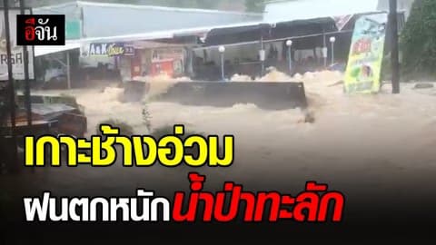 เกาะช้างอ่วม ฝนตกหนักน้ำป่าทะลัก ตัดขาดเส้นทางสัญจร