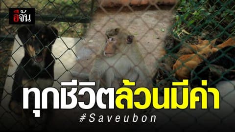 ห่วงทั้งคน ห่วงทั้งสัตว์ ทุกชีวิตล้วนสำคัญ