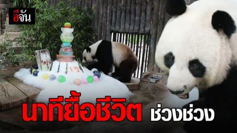 เปิดนาทียื้อชีวิต “ช่วงช่วง” ก่อนสิ้นใจ