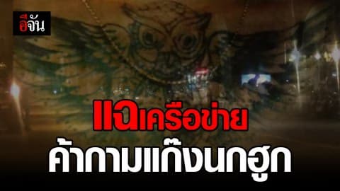 ผุดแก๊งค้ากามรุ่นใหม่ แตกหน่อจาก แก๊งนกฮูก เร่ขายทั่วแม่ฮ่องสอน ไม่หวั่นกฎหมาย