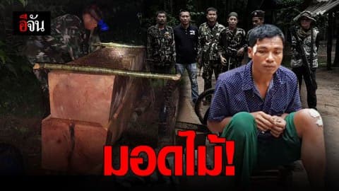 บุกจับแก๊งมอดไม้ชาวเขมร ลอบตัดไม้ ขสป.ห้วยทับทันฯ