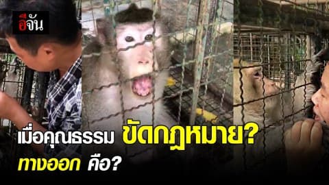 เมื่อคุณธรรม ขัด กฎหมาย? ทางออก คือ ?
