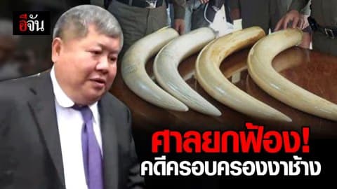 ศาลพิพากษา ”เปรมชัย” คดีครอบครองงาช้าง