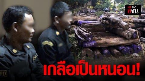 แจ้งจับ 2 เจ้าหน้าที่ป่าไม้ ข้อหาหนัก ร่วมขบวนการขโมยไม้พะยูงของกลาง