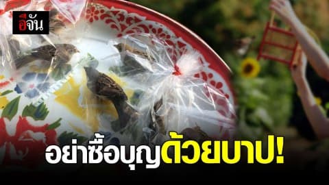 หนุ่มโพสต์สุดงง เจอแม่ค้าจับนกใส่ถุงพลาสติกขาย