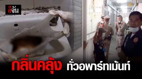 กลิ่นศพโชยในห้องพัก ช่วยกันงัดสุดท้ายคือปลานิล