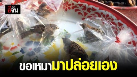 หนุ่มโพสต์เจอแม่ค้าจับนกใส่ถุงเจาะรูขาย ยอมเหมามาปล่อยเอง