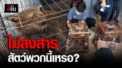 สัตว์ป่าคุ้มครอง ถูกเลี้ยงในบ้าน ไม่มีใบอนุญาต