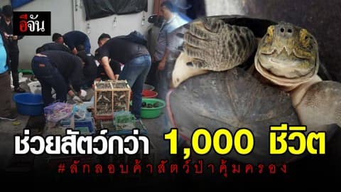 ลักลอบค้าสัตว์ป่าคุ้มครอง มาขายหน้าศาลเจ้า