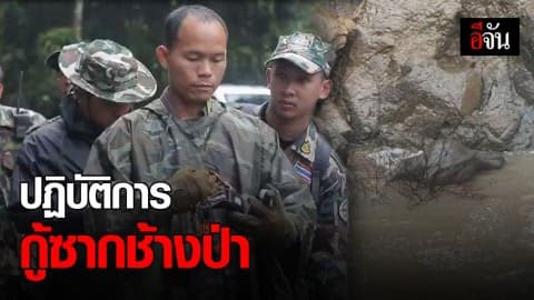 กู้ซากช้างป่าตกเหวนรก ยังไม่สำเร็จ