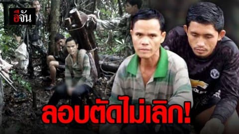 รวบ 2 หนุ่มกัมพูชา ลอบตัดไม้พะยูงกลางป่า