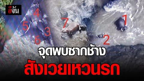เปิดภาพสุดเวทนา จุดพบช้างป่าตาย 11 ตัว สังเวยน้ำตกเหวนรก