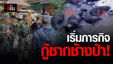 เจ้าหน้าที่เริ่มกู้ซากช้าง 2 ตัวแรก ปลายน้ำตกเหวนรก