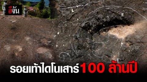 จีนพบฟอสซิล ‘รอยเท้าไดโนเสาร์’ อายุ 100 ล้านปี
