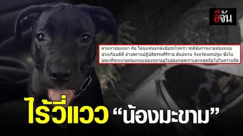 ยังตามหา“น้องมะขาม” ตูบคู่ใจ กระเด็นหายหลังรถคว่ำ