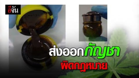 ป.ป.ส.ย้ำ นำเข้าหรือส่งออกกัญชา มีความผิด!