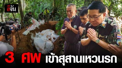 ฝังซากช้างป่า 3 ตัว