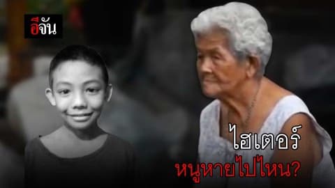 ไฮเตอร์ หนูหายไปไหน?