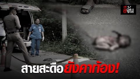 พบศพทารกเพิ่งคลอดสายสะดือยังติดอยู่ ถูกทิ้งพงหญ้าข้างทาง สภาพสุดเวทนาถูกหมากัดแทะ