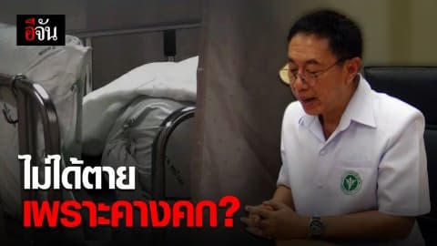 แพทย์ยังไม่ระบุสาเหตุการตายเพราะพิษคางคก?