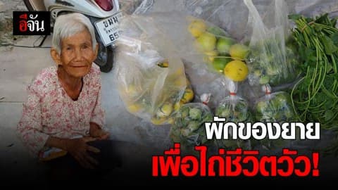 ยายนั่งขายผัก เพื่อนำเงินไปไถ่ชีวิตวัว