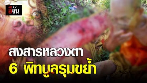 สงสารหลวงตา 6 พิทบูลรุมขย้ำ