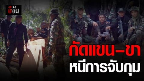 มอดไม้ข้ามชาติชาย กัด แขน-ขา เจ้าหน้าที่ หนีการจับกุม