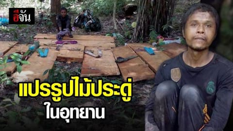 ลอบตัดและแปรรูปไม้ประดู่ในเขตอุทยาน