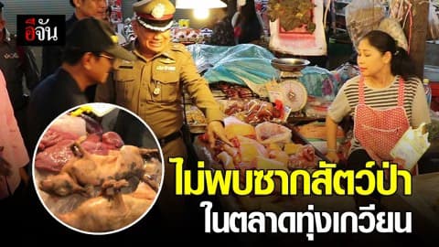 ไม่พบซากสัตว์ป่า ที่กาดทุ่งเกวียน