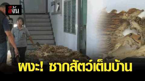 ผงะ! ซากสัตว์เต็มบ้าน