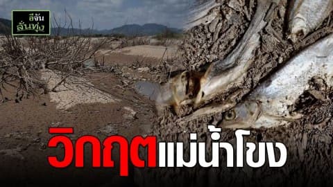 แม่น้ำโขงวิกฤตหนัก