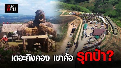 พยัคฆ์ไพร บุกตรวจ เดอะคิงคอง เขาค้อ หลังรับแจ้งว่ารุกป่าสงวน