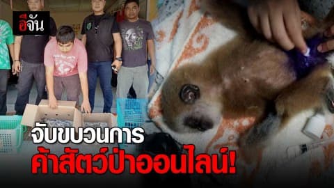 พญาเสือจับขบวนค้าสัตว์ป่าออนไลน์