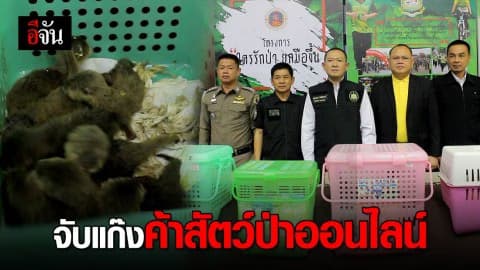 กรมอุทยานฯ แถลงข่าวจับขบวนการค้าสัตว์ป่าออนไลน์