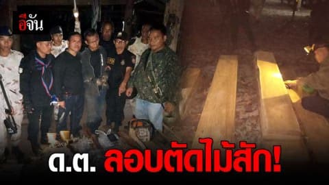 จับ ผบ.หมู่สืบสวนภูธร จ.แม่ฮ่องสอน ลอบตัดไม้สักทอง