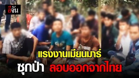 รวบ 19 แรงงานเมียนมาร์ ซุกตัวในป่าข้างถนน หวังลอบข้ามประเทศ