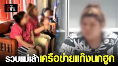 รวบเเม่เล้า เครือข่ายเเก๊งนกฮูก