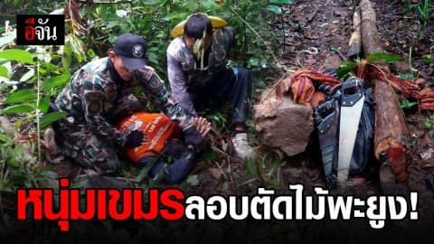 ลอบตัดไม่เลิก! จับ 2 หนุ่มกัมพูชา ลักลอบตัดไม้พะยูง ที่ สุรินทร์