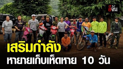 พบรอยเท้า – ร่องรอยนอนยายเก็บเห็ด