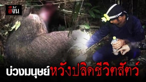 วันเดียว 12 บ่วง! จับมนุษย์วางบ่วงล่าสัตว์ ใน ขสป.เขาอ่างฤาไน