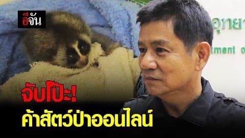 จับโป๊ะ! ค้าสัตว์ป่าออนไลน์