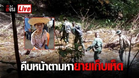 คืบหน้าตามหายายเก็บเห็ด