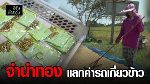 ชาวนาแห่เอาของจำนำ นำเงินไปจ่ายค่ารถเกี่ยวข้าว