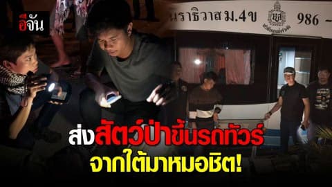 เหิมหนัก ลักลอบค้าสัตว์ ส่งขึ้นรถทัวร์จากใต้มาหมอชิต!