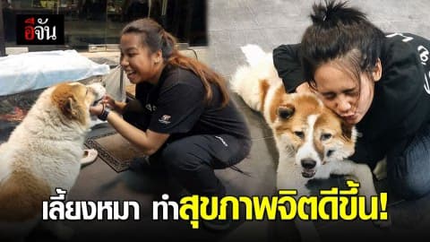 วิจัยชี้ ‘เลี้ยงหมา’ ช่วยขจัดความเหงา-พัฒนาปฏิสัมพันธ์ทางสังคม