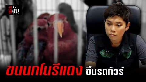 พญาเสือ แถลงจับขบวนการค้าสัตว์ เหิมหนักลักลอบขนขึ้นรถทัวร์