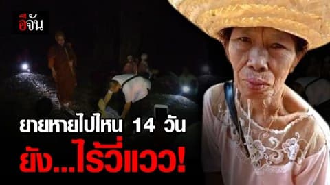 ยังไร้วี่แววยายเก็บเห็ด