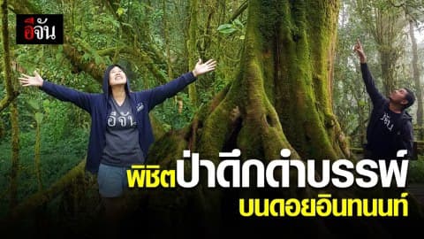 อีจันบุกป่าดึกดำบรรพ์ บนยอดดอยอินทนนท์