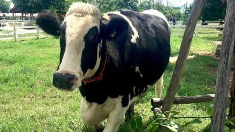 อีจันจับฉ่าย พาไปเที่ยวชั่งหัวมัน